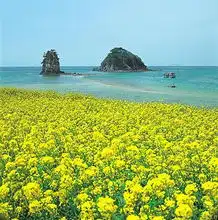 济州岛旅游济州岛简介济州岛图片