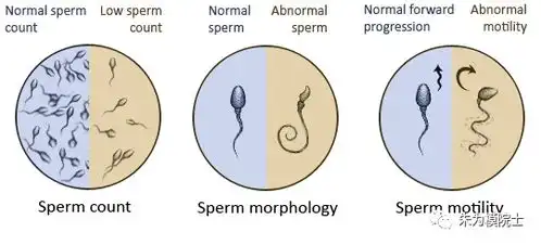 久坐21世纪的抽烟