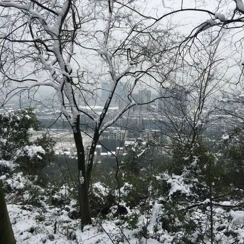 南岳山森林公园门票,南岳山森林公园游玩攻略360地图