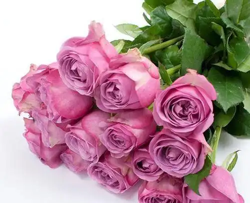 1月下旬,缘分与桃花形影相随,一同携手到白头的四大生肖