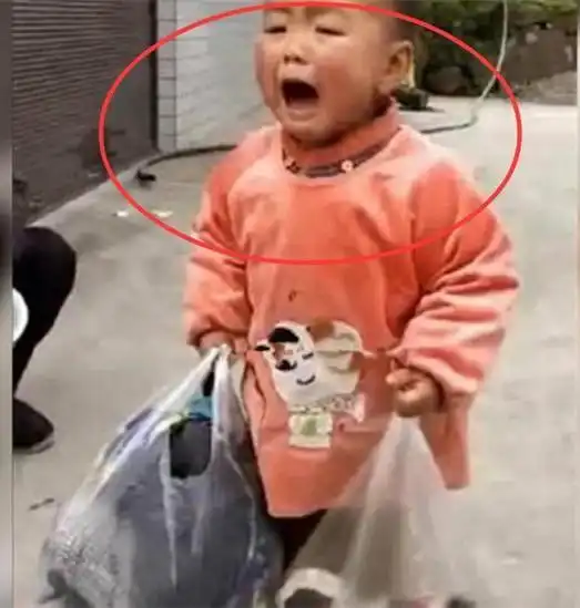 父母偷偷外出打工,3岁男孩得知后拎全部家当追父母太心酸