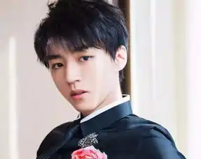 最受欢迎的10位小哥哥王鹤棣第十,蔡徐坤第七,前三名是意料之中