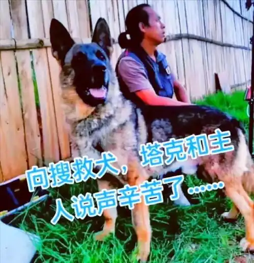 江西致远中学高一男生胡鑫宇失踪47天的过程梳理