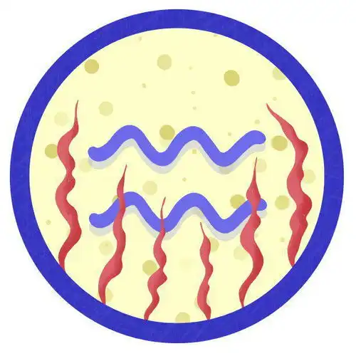 十二星座男太爱对方的表现,控制欲强在感情上,对爱情很忠诚