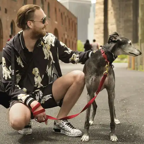 dolcegabbana杜嘉班纳2018早春男装系列