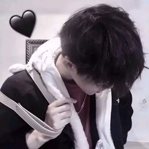 苏子夜高冷男头