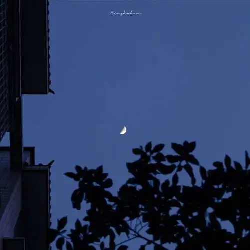 不染世俗的句子