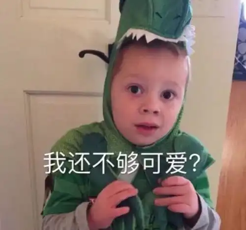 可爱萌宠萌娃头像