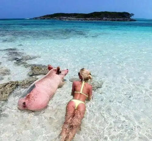 搞笑gif图片笑话段子你这小小年纪,要个媳妇有什么用啊