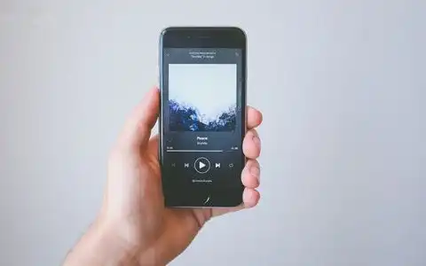 你要的元旦文案,来了