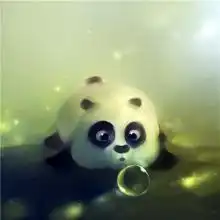 微信封动物面图片大全微信头像图片大全