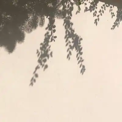 林知意聊天背景图圣诞到了你在哪里