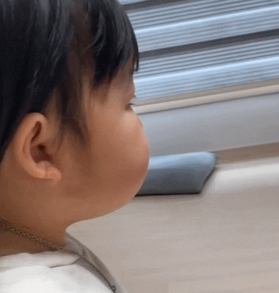 新版表情包圆滚滚的肚腩忧郁的眼神,百万网友这小肚子太上头了