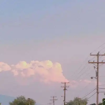 中年人微信头像风景或花草