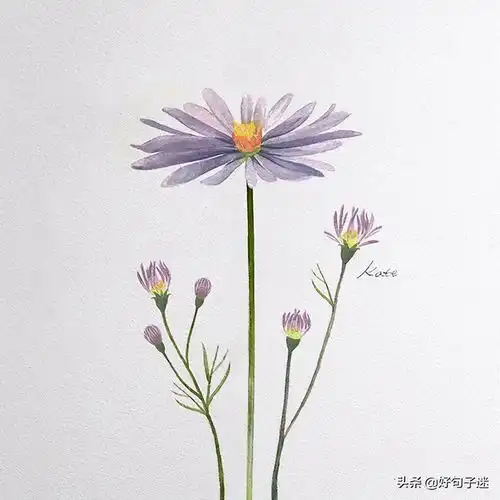 简短有品位的人生语录,精辟走心,看完大彻大悟