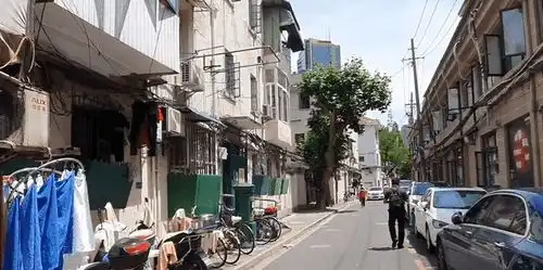 娱乐圈明星夫妻邓超孙俪在上海的老弄堂里种菜