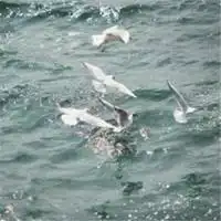 给男生带来好运气的微信头像微信头像图片大全