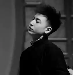 头像我根本无心工作只想尽快为祖国母亲阿中哥哥庆生