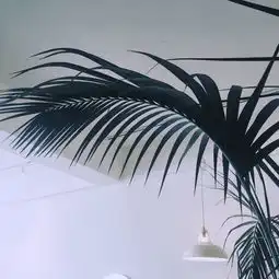 2017简约干净的个性朋友圈背景图好看的风景背景图