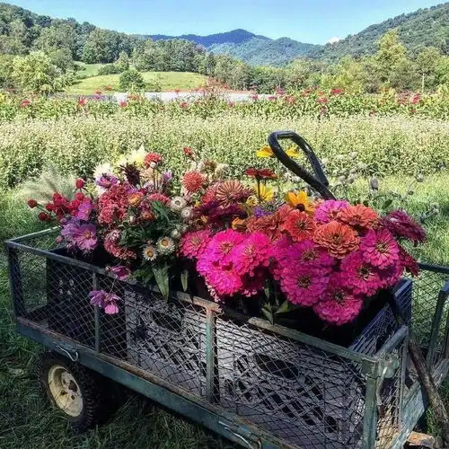 特别大男子主义的星座男
