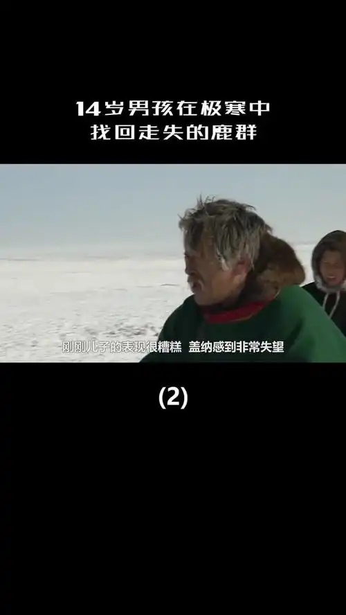 14岁男孩家族有4000头驯鹿,他在极寒中找回走失鹿群,成为真正男人2纪录片
