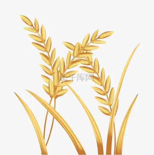 金色麦子麦穗素材图片免费下载千库网