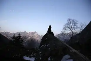 男子放弃百万年薪修隐终南山