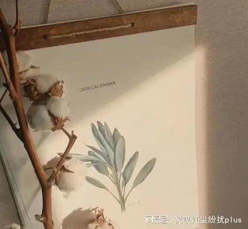 网易云热评有七分喜欢,那就谁也不舍得说了