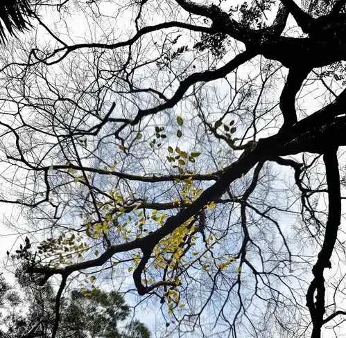 2023最新小清新风景头像