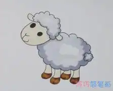 绵羊怎么画两只可爱小绵羊简笔画图片