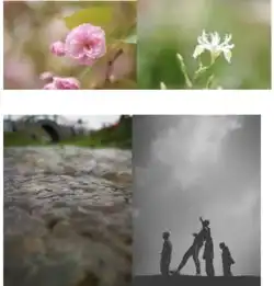 落实实践育人青草阳光扮亮广告课堂