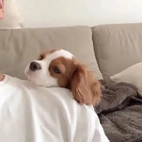 背景图丨年度最优背景图汇集