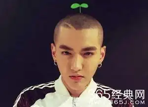 男明星光头谁最丑吴亦凡谢霆锋再丑也丑不过他
