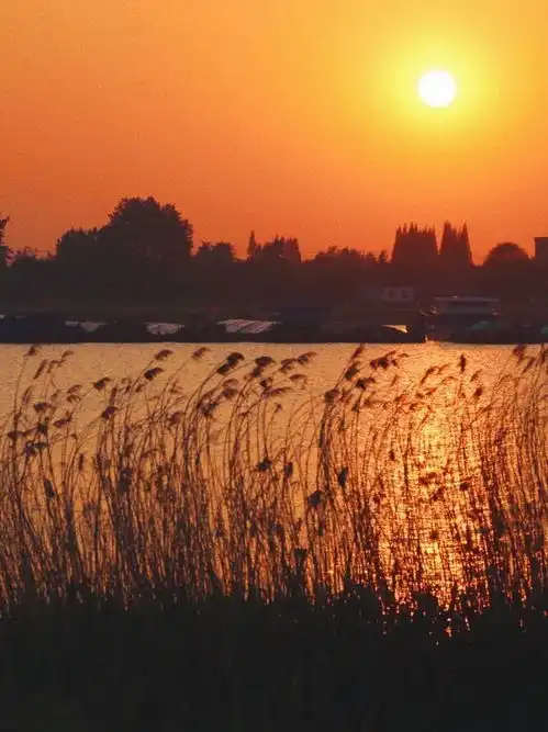 湖光夕照,霞光迷人,来新城凤凰岛度假区享受片刻闲暇绝美风光