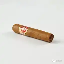 雪茄是男人富裕而讲究的生活方式