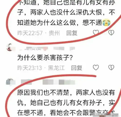 6岁男童被杀后续,知情人曝内幕,大奶奶家境曝光,动机令人费解