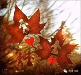 一生中不能错过的这50件事