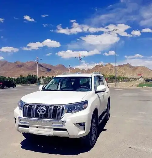 硬派越野普拉多,加装机械增压咸鱼翻身