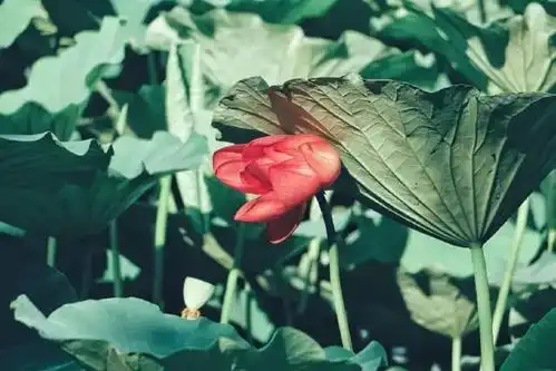 一字千金的人生哲理说说