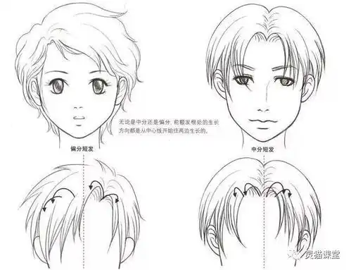 绘画漫画角色基础教程,男生女生各类发型的画法