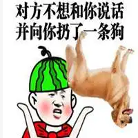 兔子不想和你说话头像微信头像图片大全