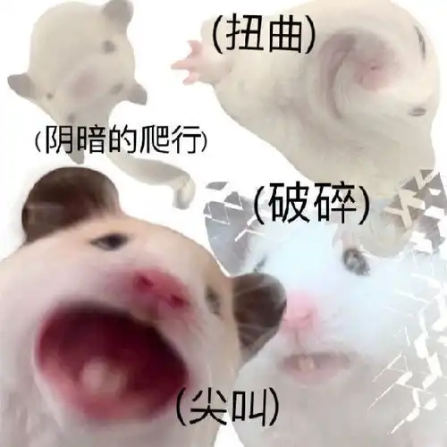 有多少人在鼠鼠文学中看到了自己