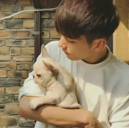 有什么带猫的适合男生用的头像