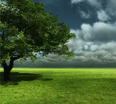 20张漂亮的ipad桌面壁纸下载