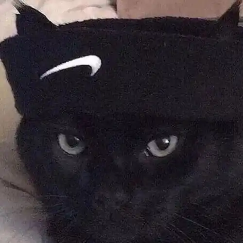 个性头像丨可可爱爱,无公害