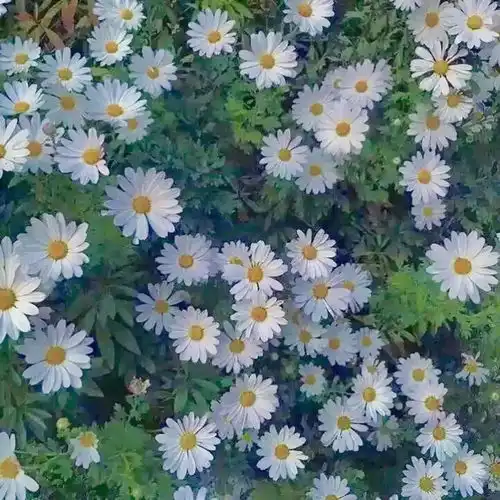 十二星座想要走出抑郁最好的方法是什么水瓶座自由的呼吸