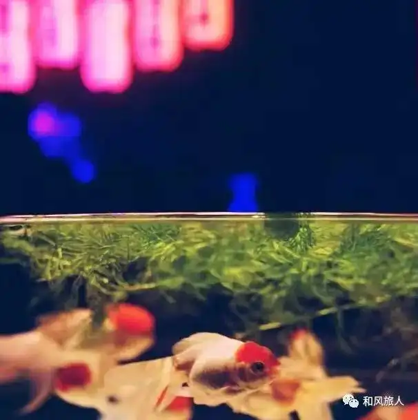 досвидания,2016