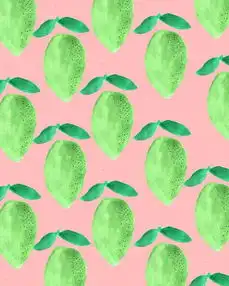 唯美生活多彩多芬