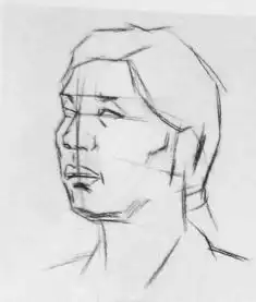 关于4分之3素描头像得调子脸上哪些是暗面哪些是重灰哪些是灰面哪些是小灰面求大神求详