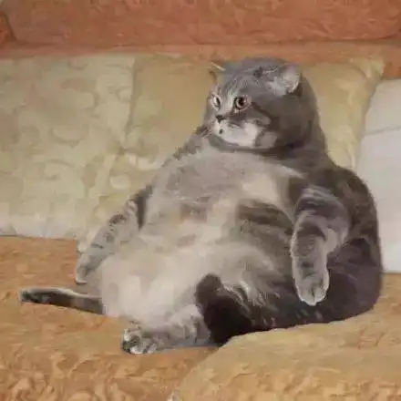 沙雕头像愿时光能缓美好如初